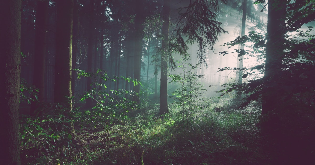 Codependency Recovery: How to Stop Enabling and Heal 2026