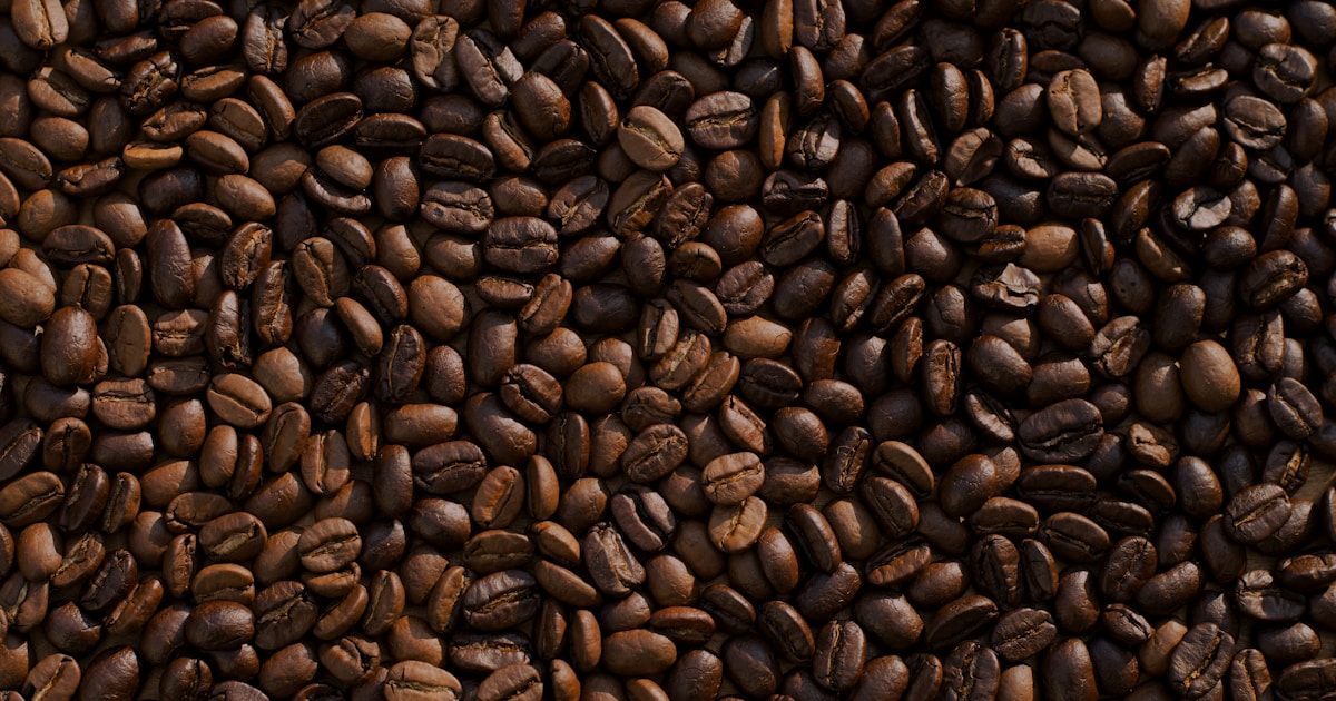 A close, warm field of roasted coffee beans — sober dating often centers on coffee, food, and activity rather than alcohol, which tends to reveal real connection rather than mask incompatibility