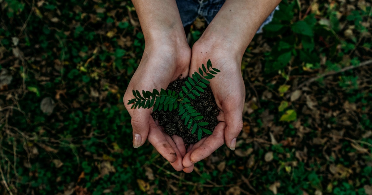 Enabling vs Supporting Addiction: A Family Guide for 2026
