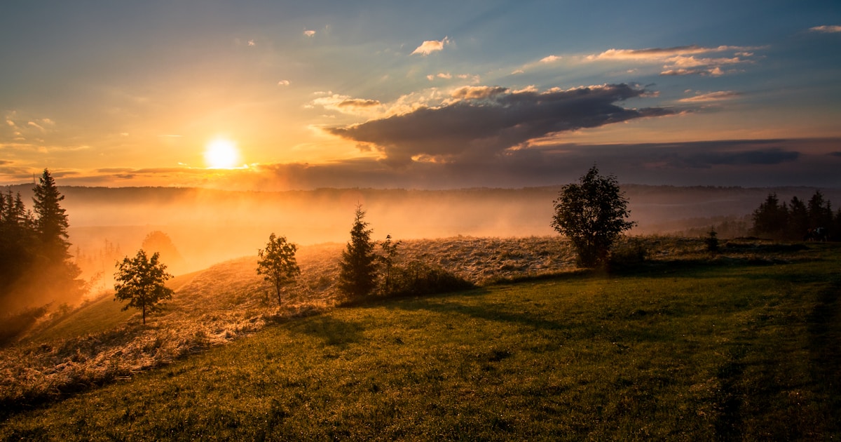 Abstract watercolor of sunrise over a misty meadow — survival keeps the door to recovery open