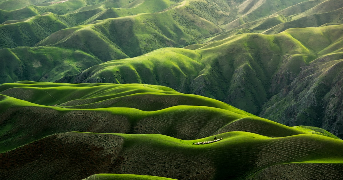 Abstract watercolor of rolling green hills lit by soft morning light — the long road back to reunification, taken one step at a time