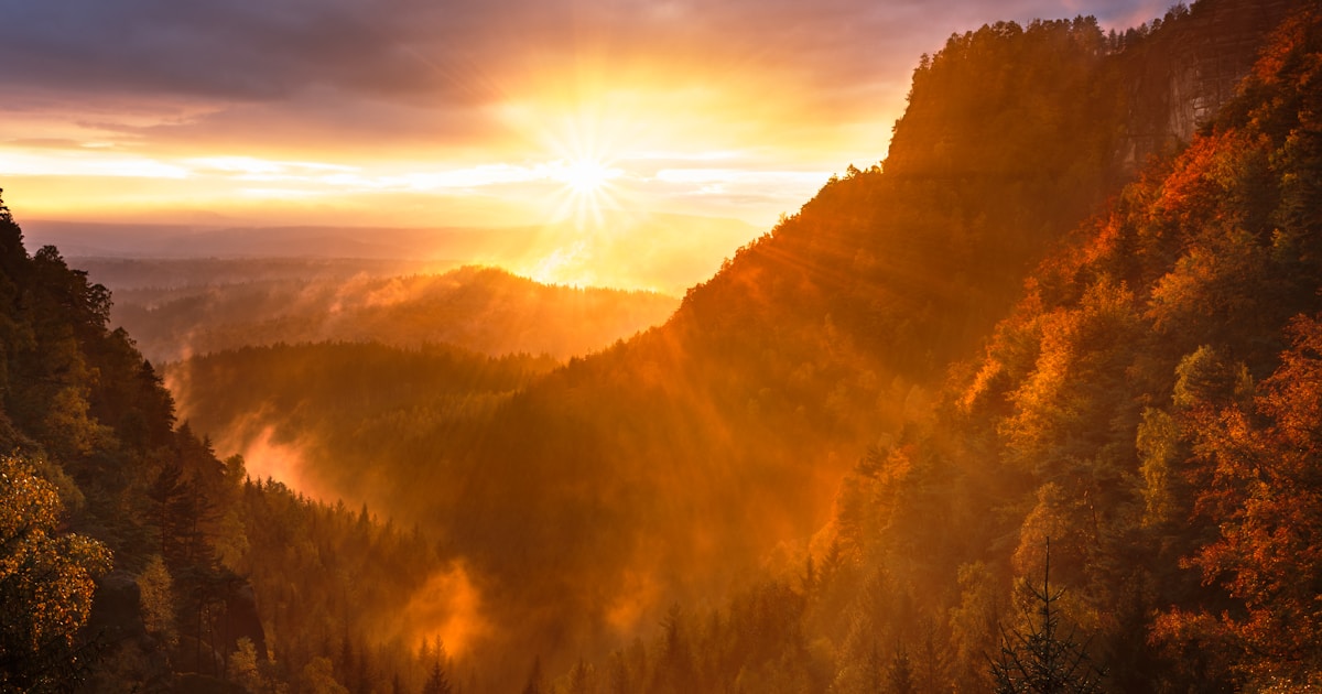 Abstract watercolor of sunrise breaking over a forested valley — easier, steadier change with the right medication